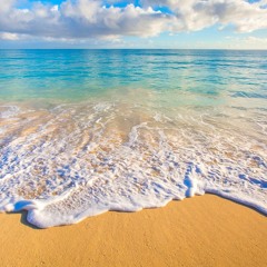 Shore #4