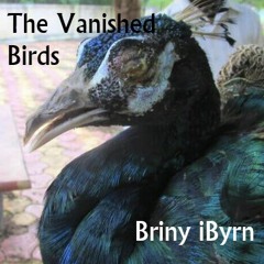 The Vanished Birds