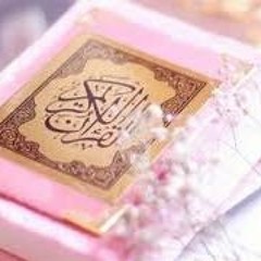 المصحف المرتل _ سورة لقمان/ القارىء اسامة نبيل