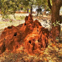 Location Intelligence | A Conversation with TB Dinesh