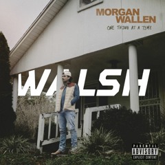 Morgan Wallen vs. Avicii - Last Night (WALSH 'The Nights' Edit)