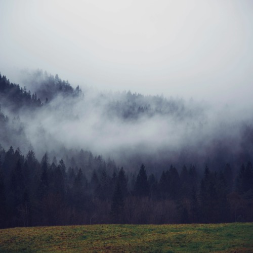 The Clearing