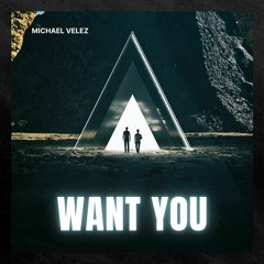 Michael Velez - Want You