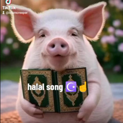 halal islam polka full song