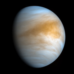 Life On Venus