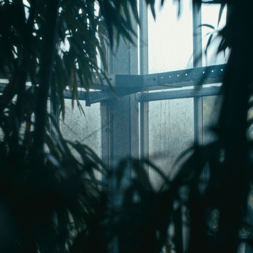 Human Space Machine - Wildeburg 2024