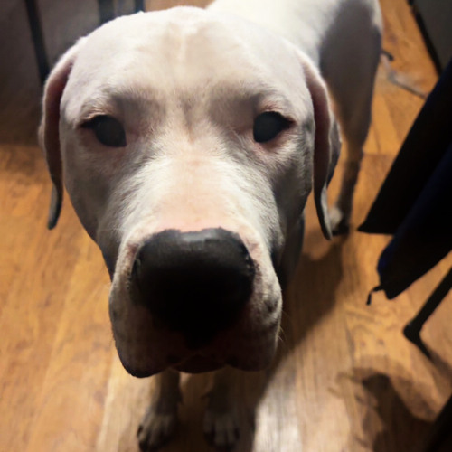 head down [prod.2Jupitxr]