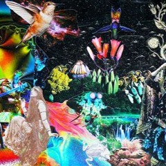 Habit {Instrumental} 𝑷𝒓𝒐𝒅. 𝑩𝒚 Operation O