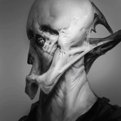 Circular Brain (FREE DOWNLOAD)wav.