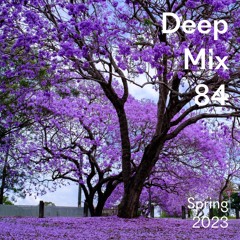 Deep Mix - Spring 2023