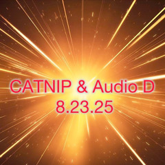 Nocturnal Babies 8.23.25