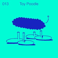 013. Maybe with Toy Poodle