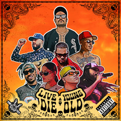 PREMIERE: Dmitri Saidi, Maxx Gallo, V-Lake - Que Loco (Extended Mix) [Bunny Tiger]