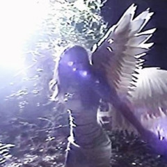 Angelicide