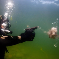 Autumn'25 Mascara Set @vnqelo @serafinn @1vtmns @pyu