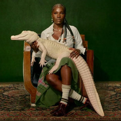 doechii bullfrog remix