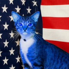 MOB - America Dub (blueberry cat dubz flip)