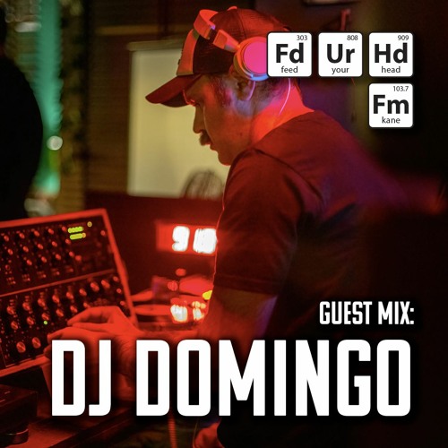 Feed Your Head Guest Mix: Dj Domingo