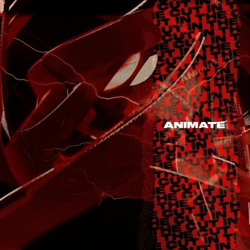 ANIMATE - IN THE CUT