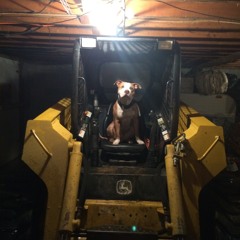 Watchdog= a Masterpiece