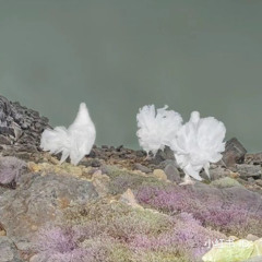 70023210 治療_chapter455