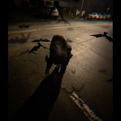 TYB - FT. DIE4ROSA (PROD.b0ssa)$(PROD.Kringlez)