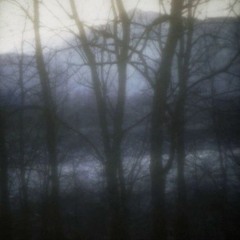 wrong ft. requiem for you