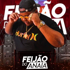 Nós Faz Em Uma Semana x To Pelo Morrão - Mc Rodrigo Do Cn  Mc Neguinho Do CDM - Dj Feijão Do Anaia