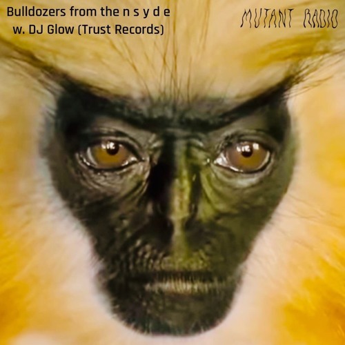 Bulldozers From the n s y d e  w. DJ Glow (Trust) [29.07.2024]