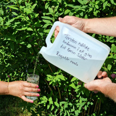 Torsten Hällde Brännvin I Ett Glas Till Karin Söder - RAGZT3R Remix