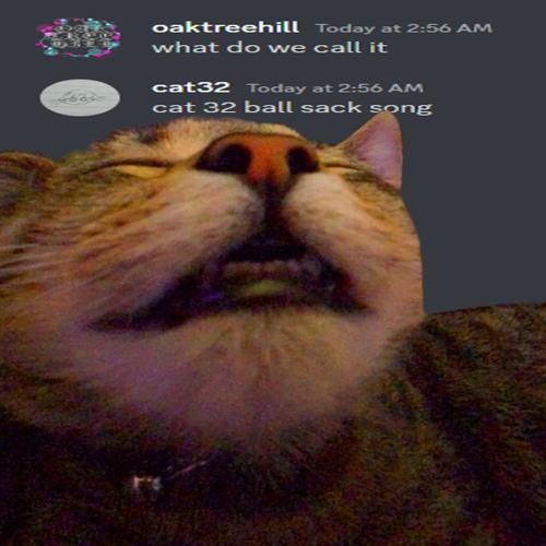 BALL SACK SONG w/ cat32