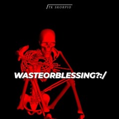 wasteorblessing?:/