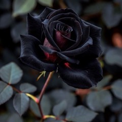 Body Justice (Remastered)