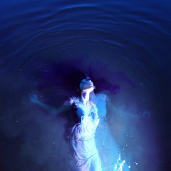 By the Teeth of a Shark