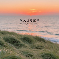哭的总是我