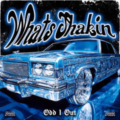 WHATS SHAKIN