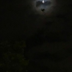 I Looked Into The Abyss It Stared Back (Prod. Lil $wedden)