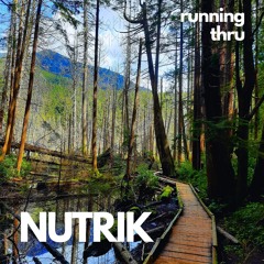 running thru [Free DL]