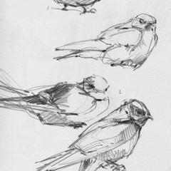 where could i find her