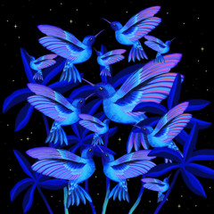 Ecstatic Dance Armenia 1 Marzo 2025