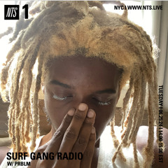 NTS SURF GANG RADIO W/ PRBLM