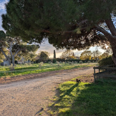 Someone to spend time with - Los Retros - Accoustic cover