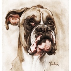 Here Boy!(Acoustic)By Mikey Watkins