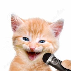 Miau miauuu miiau, miaaau. (Miauuuu Miau)