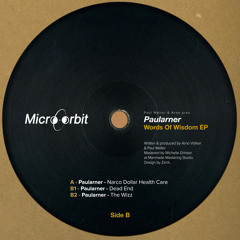 MEOKO Premiere | Paularner - The Wizz