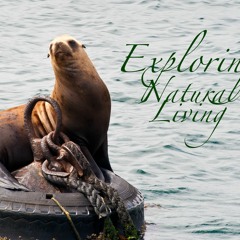 Exploring Natural Living