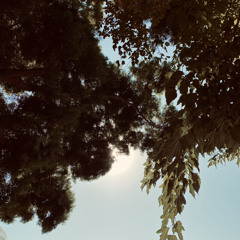 Poison river v2 (voice memo demo)