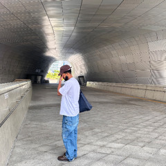 todo dia  ( fernandino fn & mc cyara ofc)