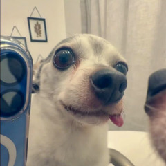 Fuck em up (feat. Hash1)