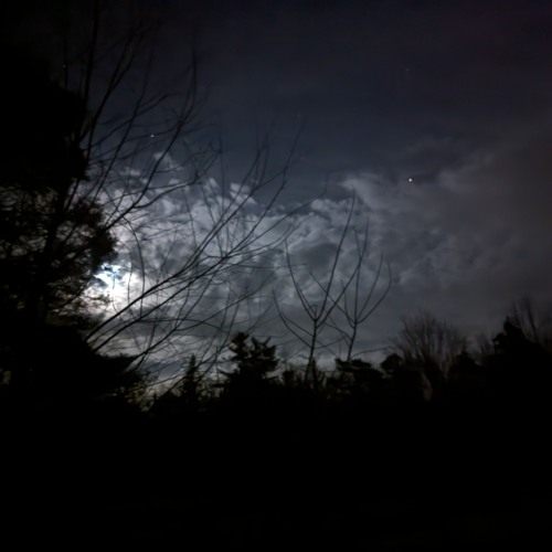 projectile |135| (accidentally no drums lol)